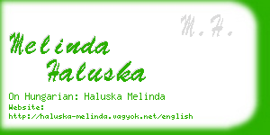 melinda haluska business card